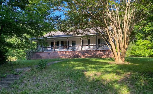 Farm Ranch in Norman, Arkansas, United States 1