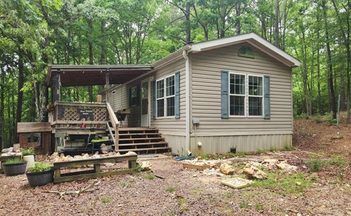 Land in Oden, Arkansas, United States 1