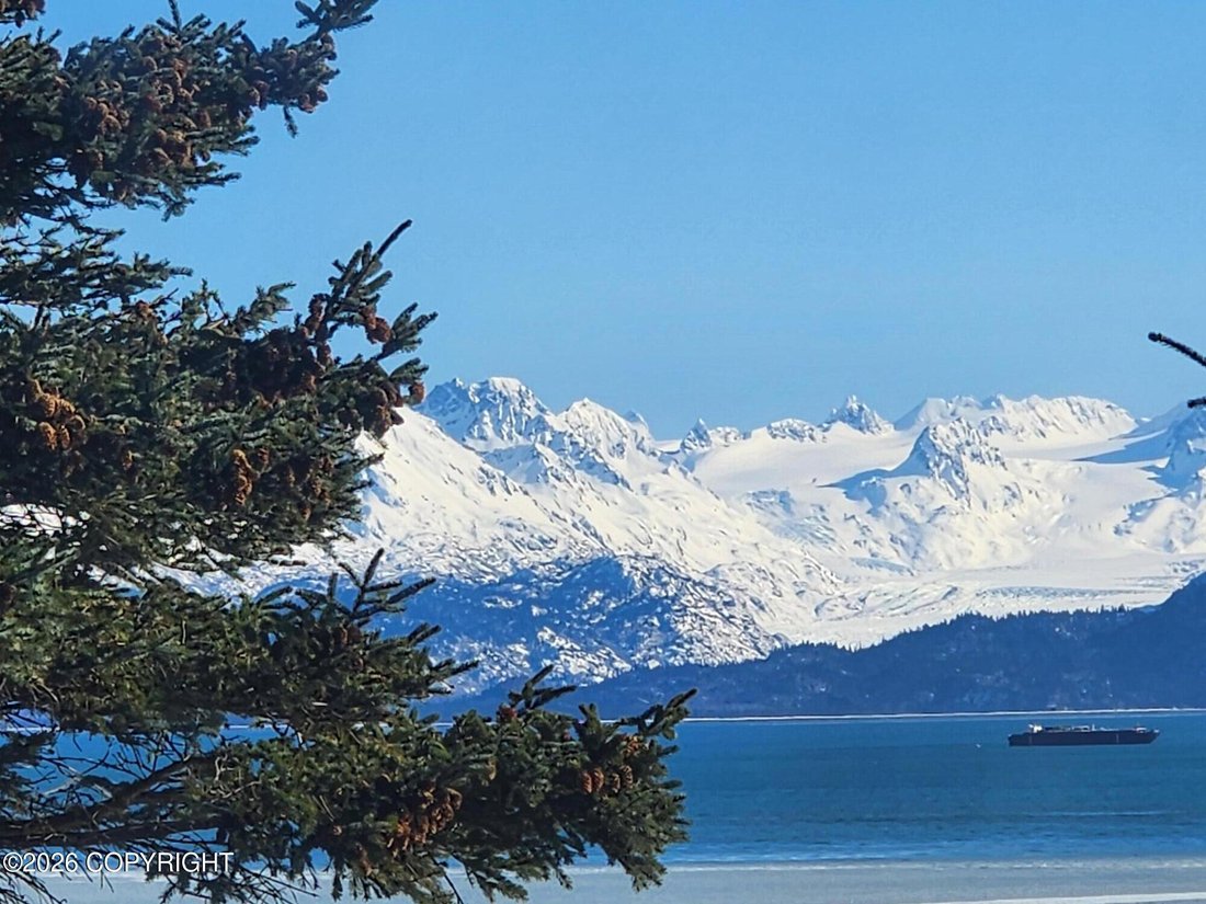 House in Homer, Alaska, United States 2 - 18175657