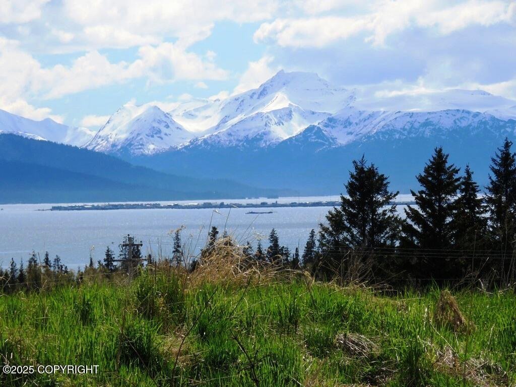 House in Homer, Alaska, United States 2 - 18175543