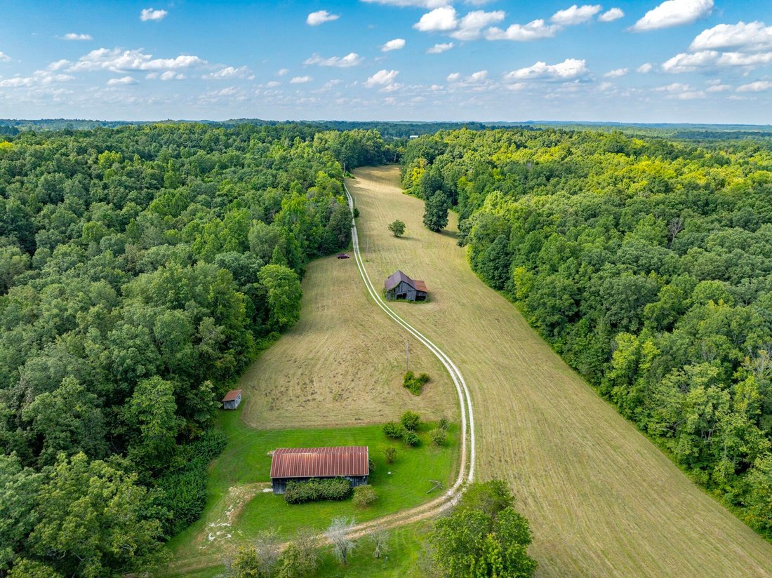 House in Wellington, Kentucky, United States 1 - 18177072