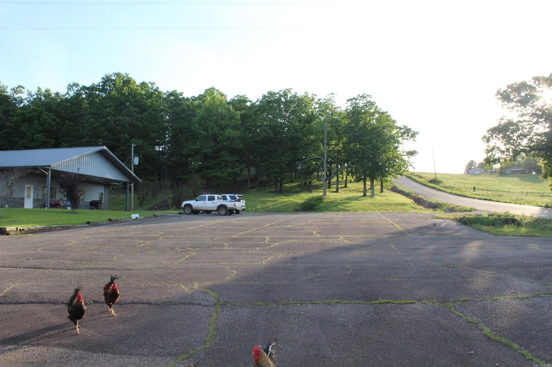 House in Tilly, Arkansas, United States 3 - 18176547