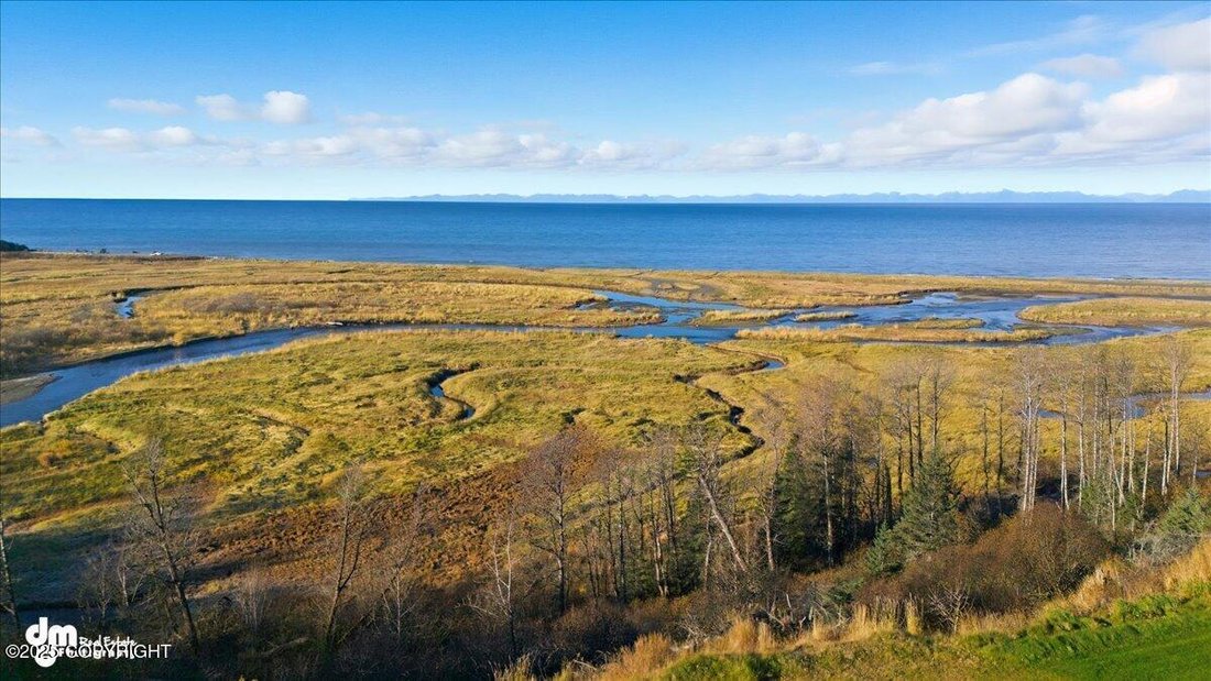 House in Anchor Point, Alaska, United States 4 - 18177305
