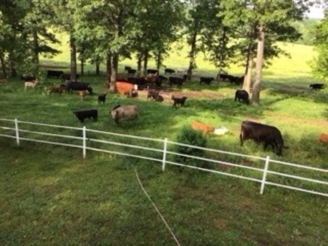 Farm Ranch in Sturkie, Arkansas, United States 3 - 18176061