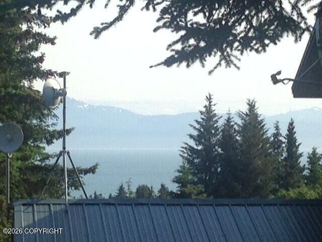 Homer, Alaska, United States 4 - 18175772