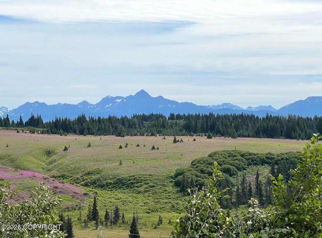 House in Homer, Alaska, United States 2 - 18177120