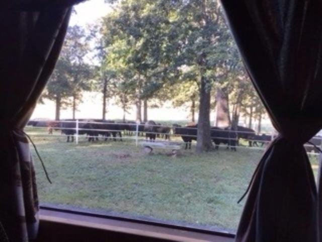 Farm Ranch in Sturkie, Arkansas, United States 4 - 18176061
