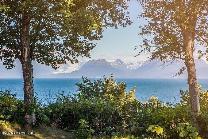 House in Homer, Alaska, United States 5 - 18176880