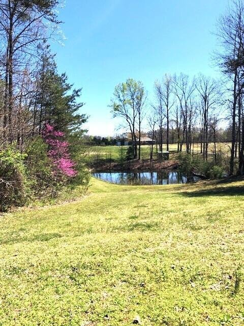 Apartment in Russell Springs, Kentucky, United States 1 - 18176969