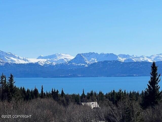 House in Homer, Alaska, United States 3 - 18175577