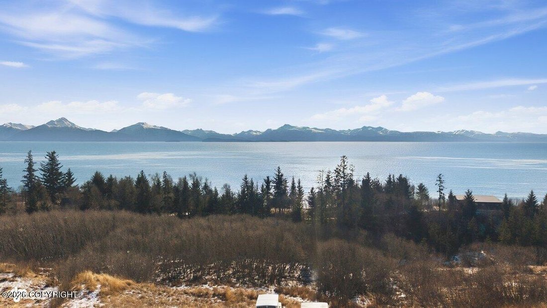 House in Homer, Alaska, United States 3 - 18175931