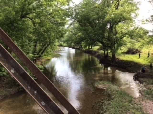 Farm Ranch in Sturkie, Arkansas, United States 1 - 18176061