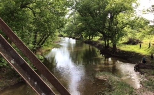 Land in Sturkie, Arkansas, United States 1