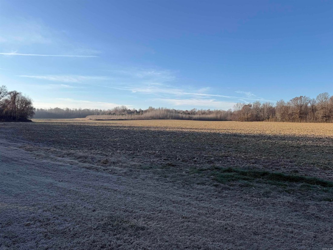 House in Pollard, Arkansas, United States 2 - 18176098