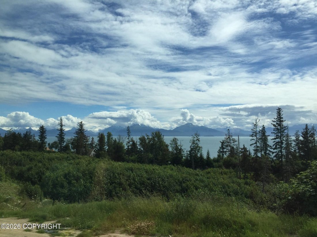 House in Homer, Alaska, United States 2 - 18175931