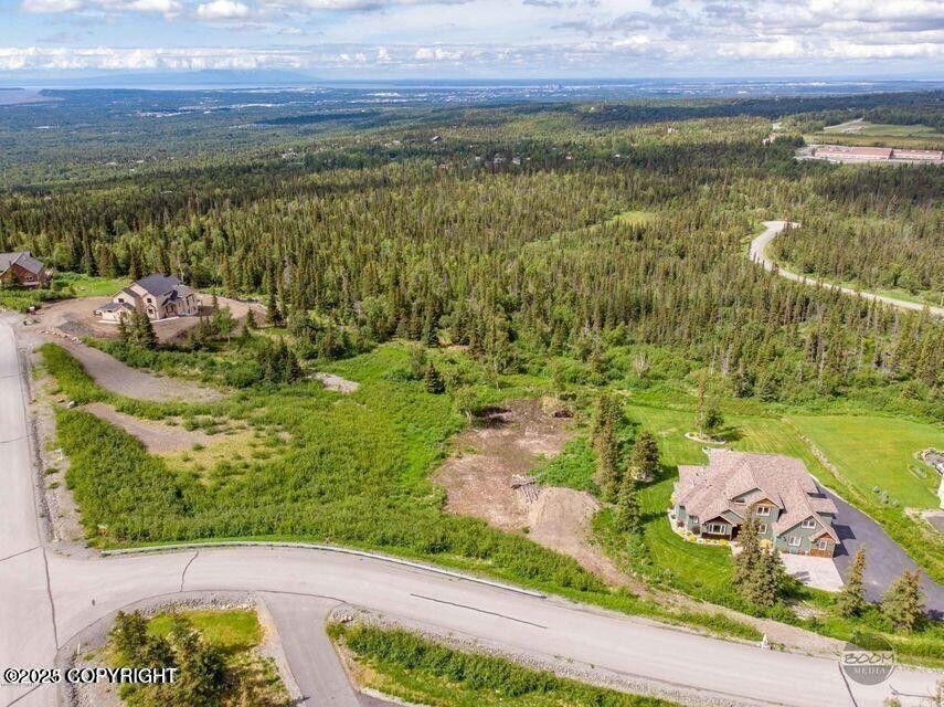 House in Anchorage, Alaska, United States 5 - 18175671