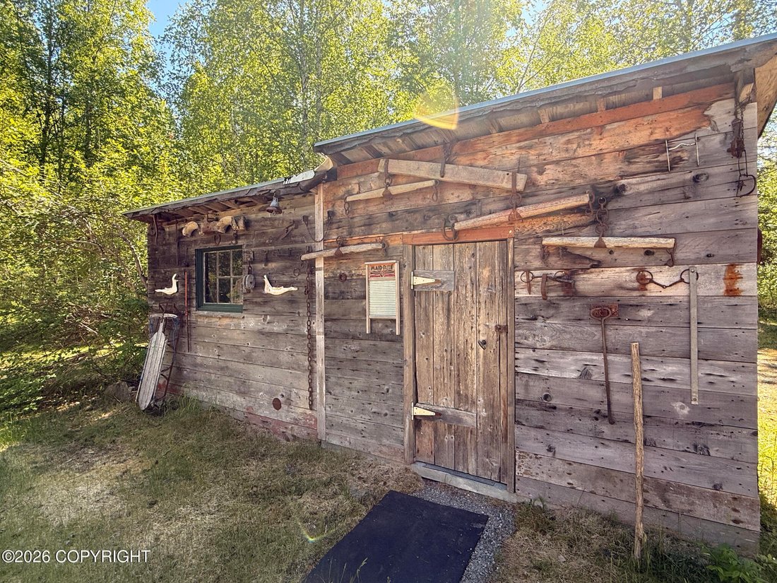 House in Talkeetna, Alaska, United States 5 - 18175689