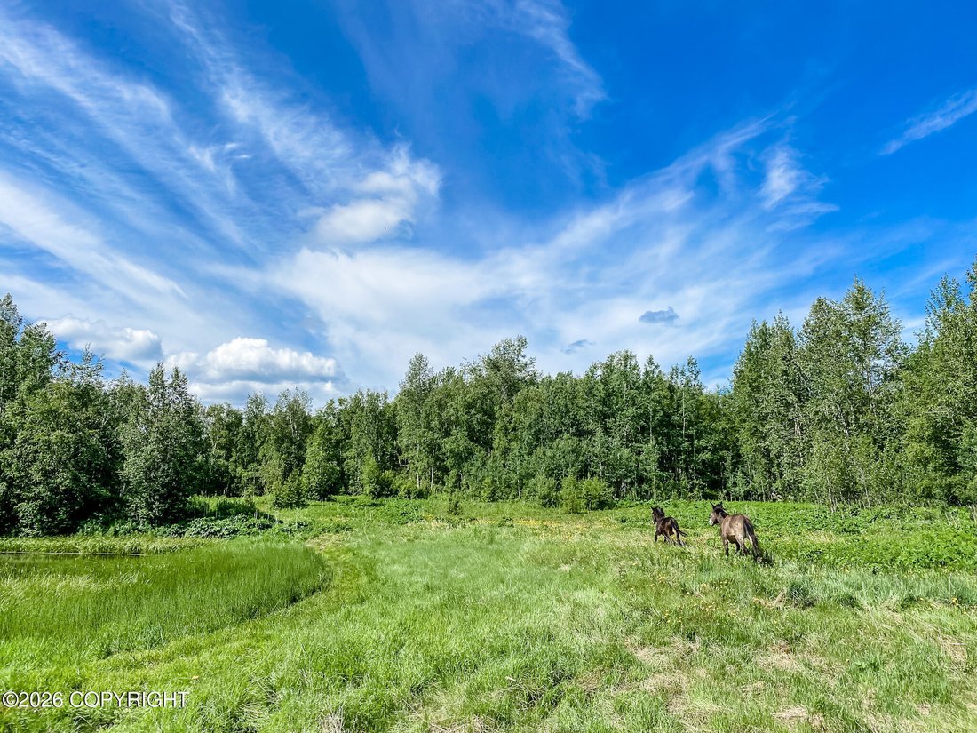 House in Palmer, Alaska, United States 4 - 18175549
