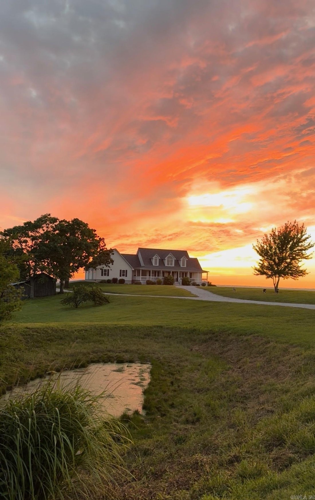 House in Marshall, Arkansas, United States 1 - 18176432