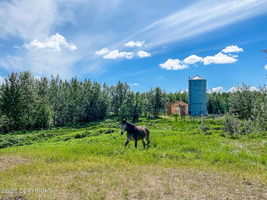 House in Palmer, Alaska, United States 3 - 18175549