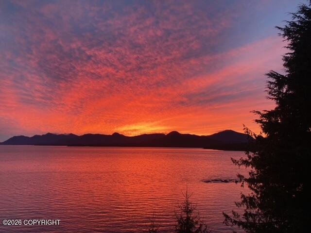 House in Ketchikan, Alaska, United States 4 - 18175767