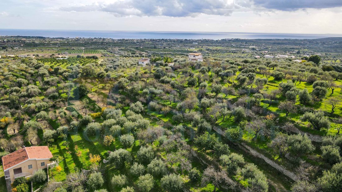 Villa in Center, Noto, Sicily 3 - 18177532