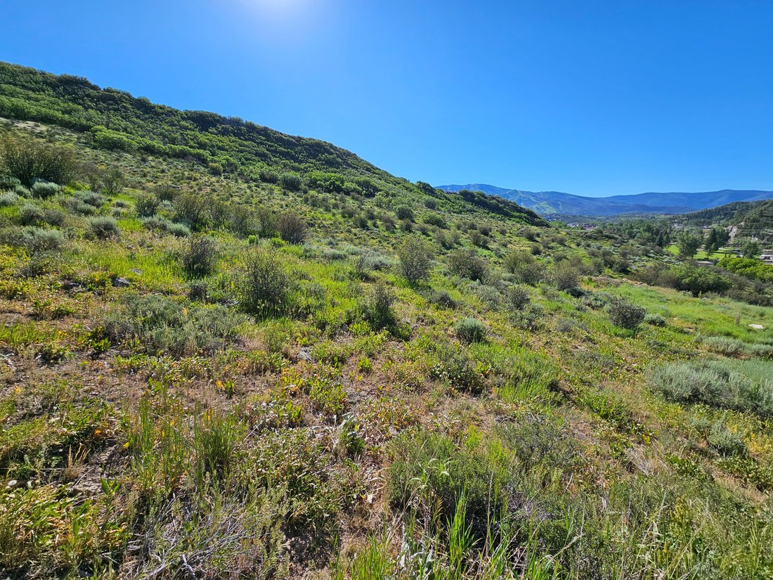 Land in Steamboat Springs, Colorado, United States 5 - 18177224