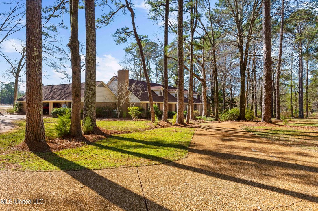 House in Flowood, Mississippi, United States 2 - 18179138