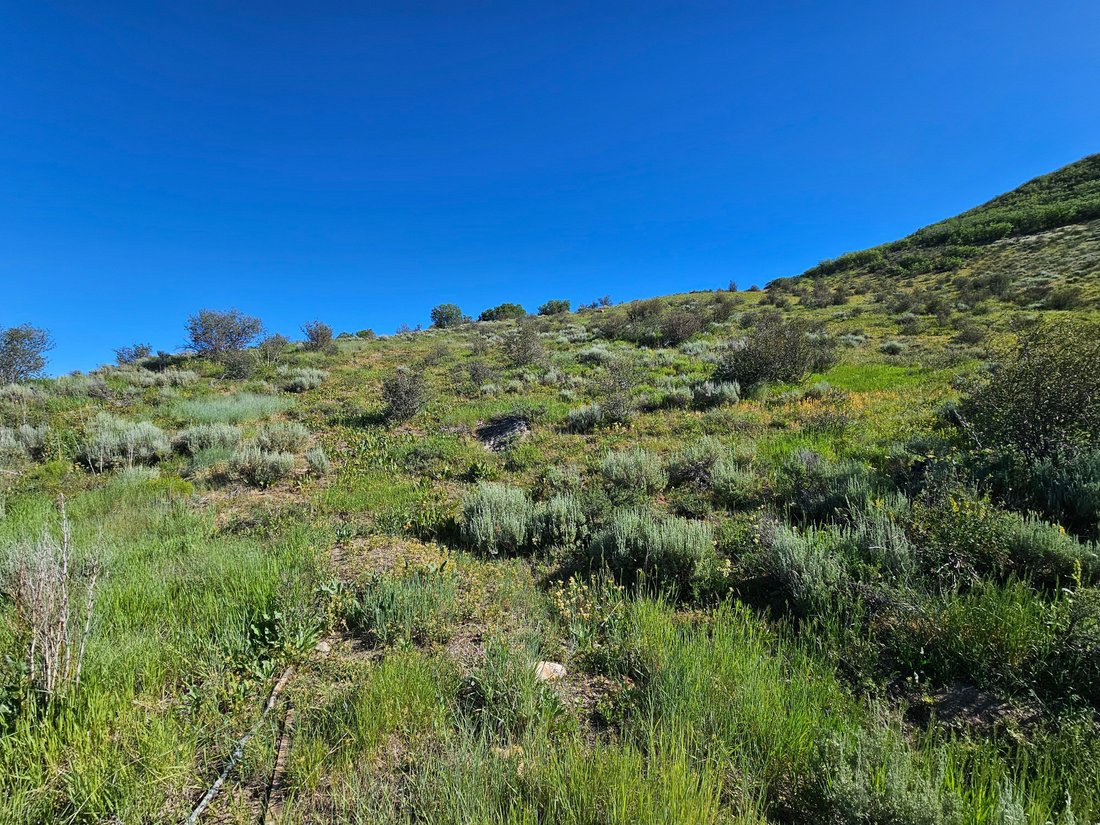 Land in Steamboat Springs, Colorado, United States 2 - 18177224