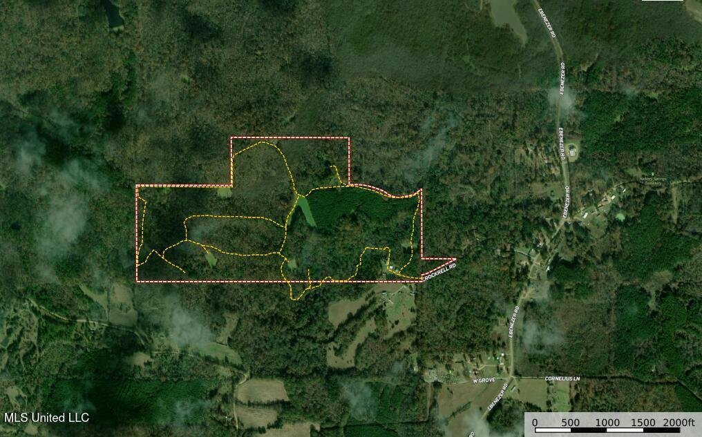 House in Lexington, Mississippi, United States 2 - 18178629