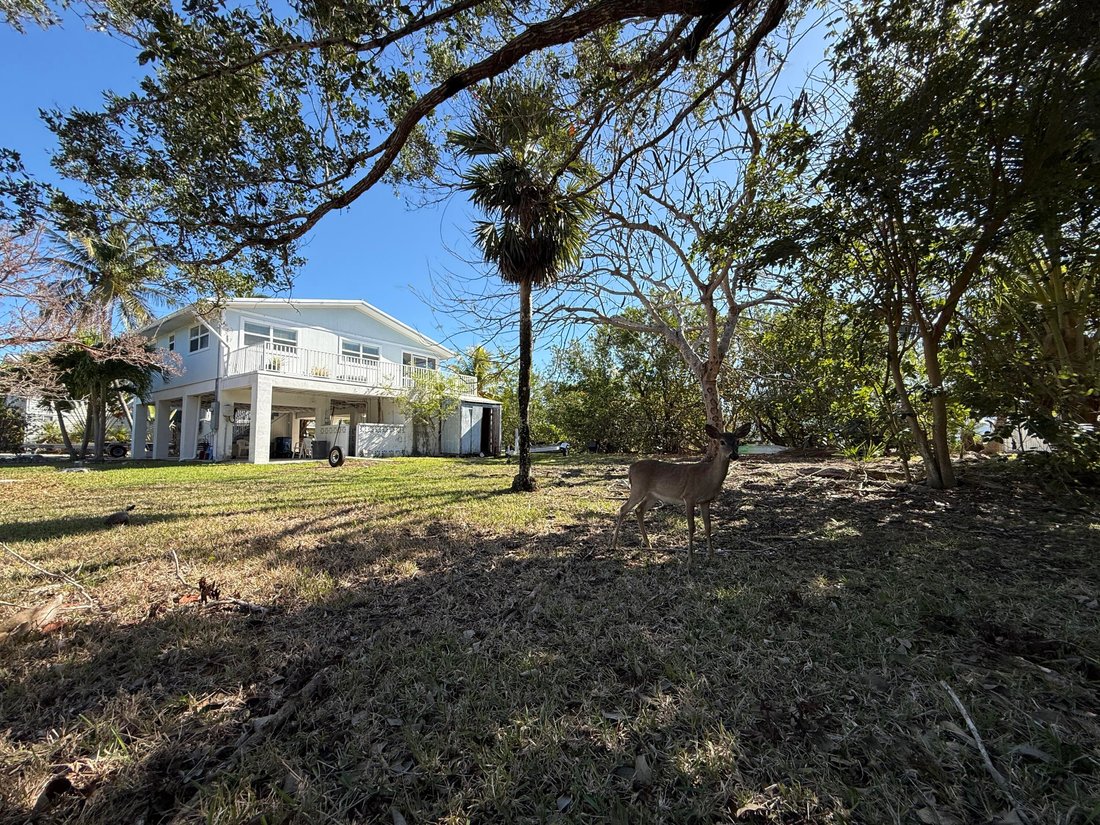 House in Summerland Key, Florida, United States 1 - 18181323