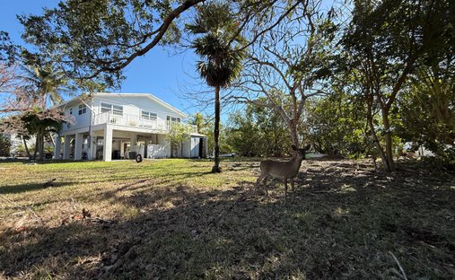 House in Summerland Key, Florida, United States 1