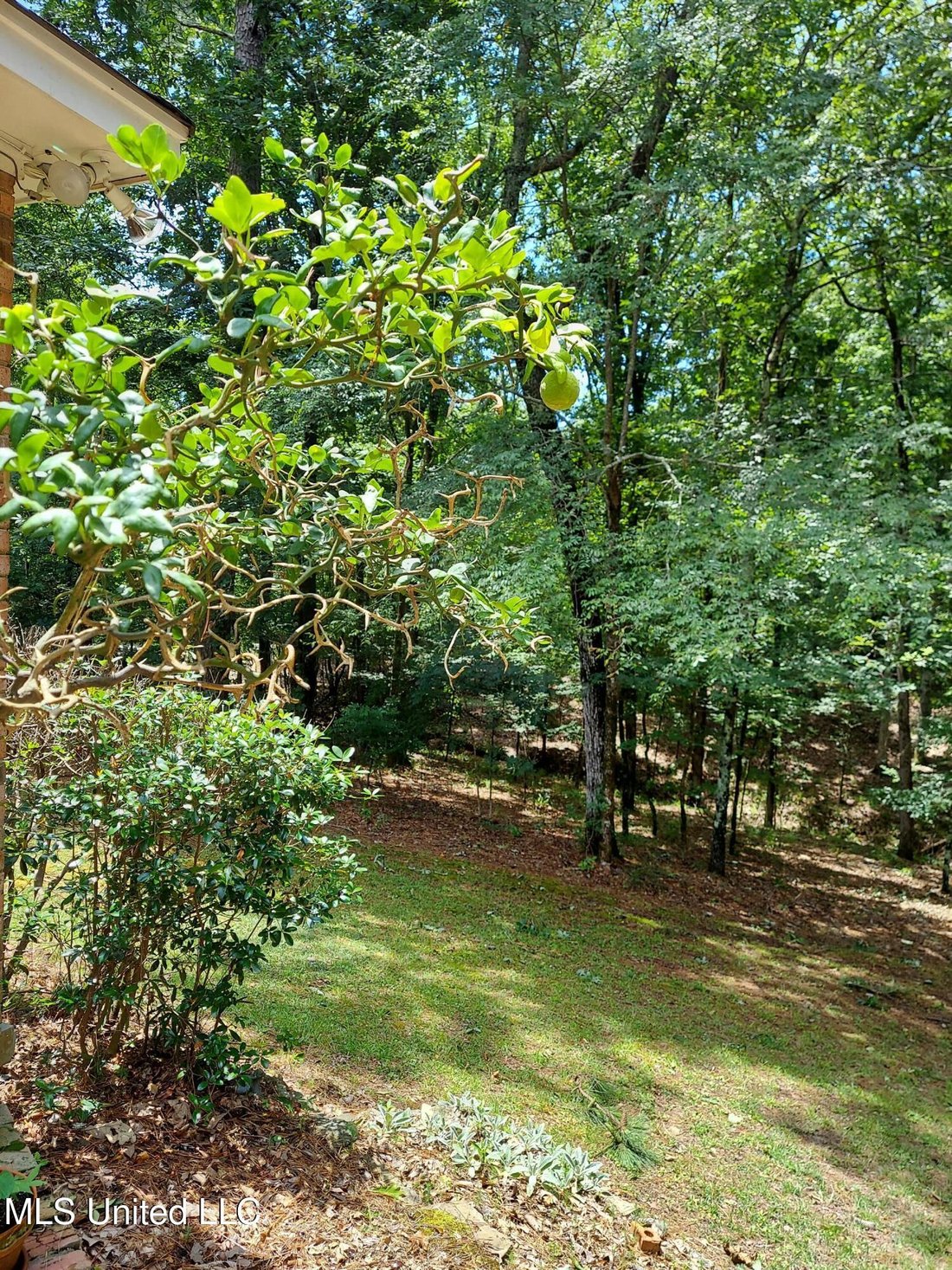 House in Madison, Mississippi, United States 5 - 18179182