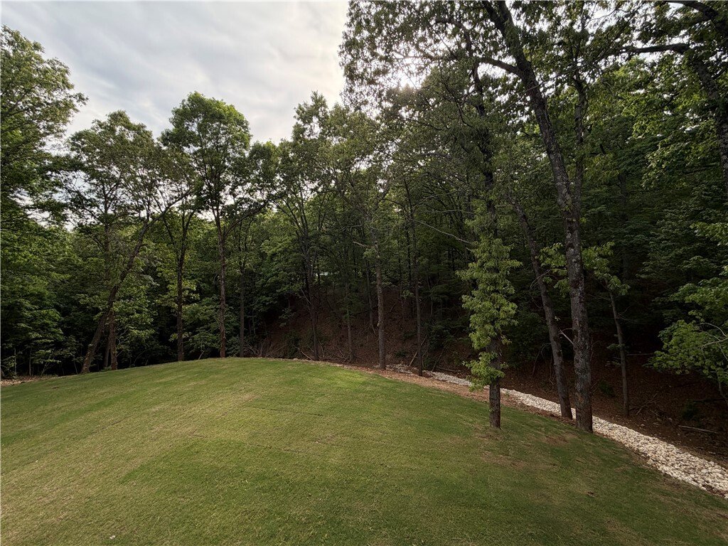 House in Johnson, Arkansas, United States 5 - 18179589