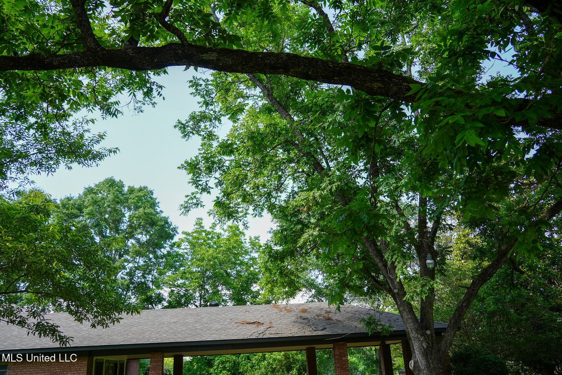 House in Utica, Mississippi, United States 4 - 18178721