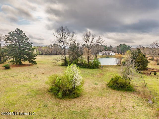House in Holly Springs, Mississippi, United States 4 - 18178879