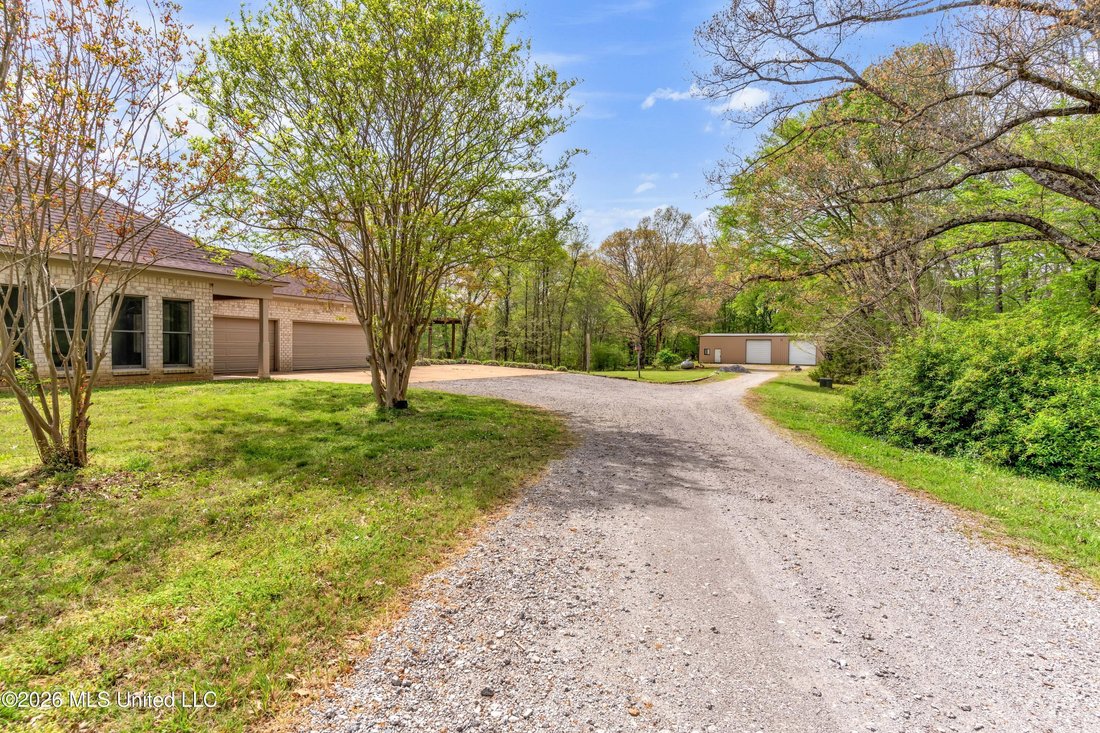 House in Hernando, Mississippi, United States 5 - 18178811