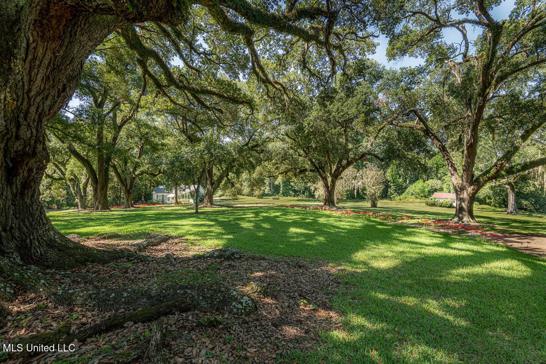 House in Natchez, Mississippi, United States 5 - 18179149