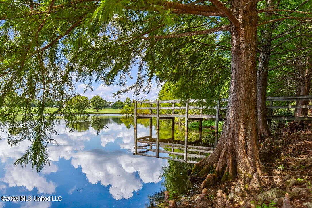 House in Flora, Mississippi, United States 3 - 18178670