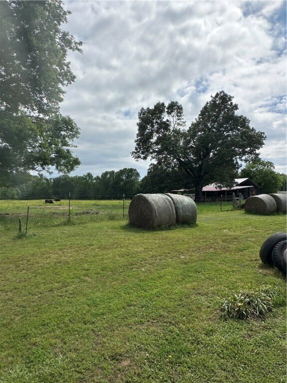 House in Dardanelle, Arkansas, United States 3 - 18179972