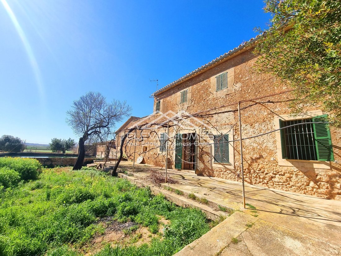 House in Palma, Balearic Islands, Spain 1 - 18181471