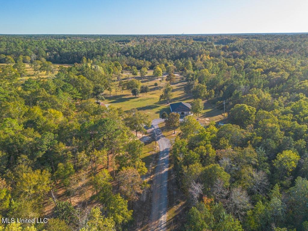 Lucedale, Mississippi, United States 5 - 18179004