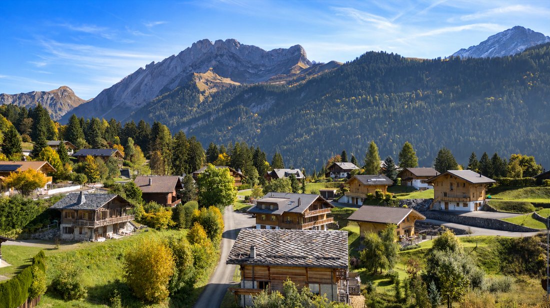 Chalet in Ollon, Vaud, Switzerland 3 - 18181443