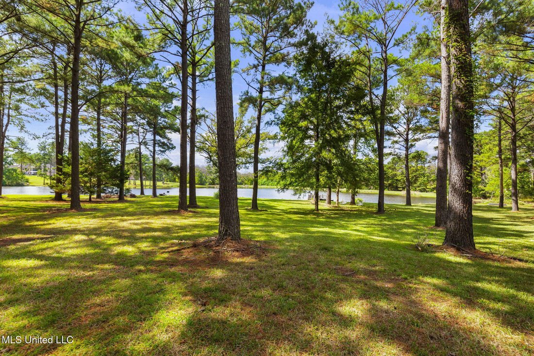 House in Canton, Mississippi, United States 3 - 18178783