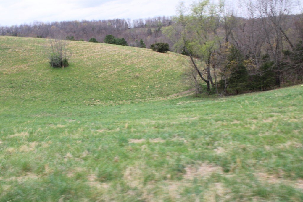 House in Marshall, Arkansas, United States 2 - 18179750