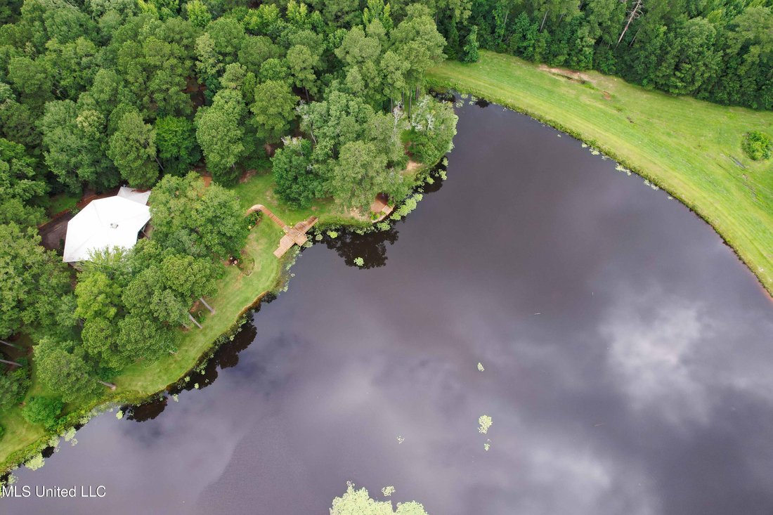 House in Florence, Mississippi, United States 3 - 18179203