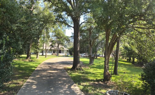 Maison à Canton, Mississippi, États-Unis 1
