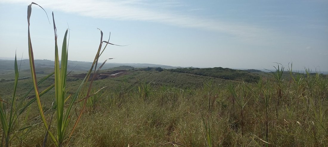 Terreno en Dolphin Coast, KwaZulu-Natal, Sudáfrica 3 - 18181556