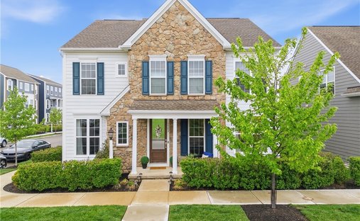 House in Bridgeville, Pennsylvania, United States 1
