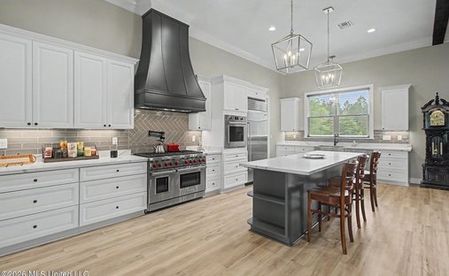 Maison à McHenry, Mississippi, États-Unis 1